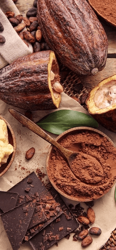 Anticoa cacaobonen